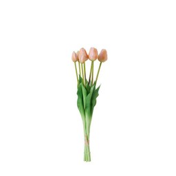 TULIPS Bundle Peach - Peach - 47cm
