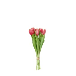 TULIPS Bundle Pink - Pink - 31cm