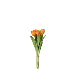 TULIPS Bundle Orange - Orange - 31cm