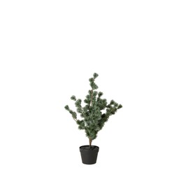 LARCH TREE Green - Green - 80cm