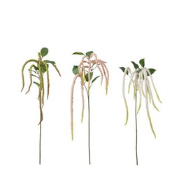 AMARANTHUS Mix White, Pink, Green - White, Pink, Green - 134cm