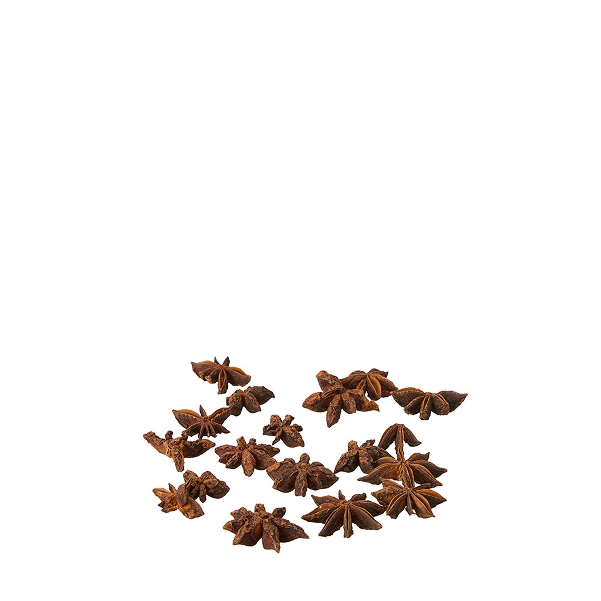STJÄRNANIS Brown - Brun - 2-3 cm