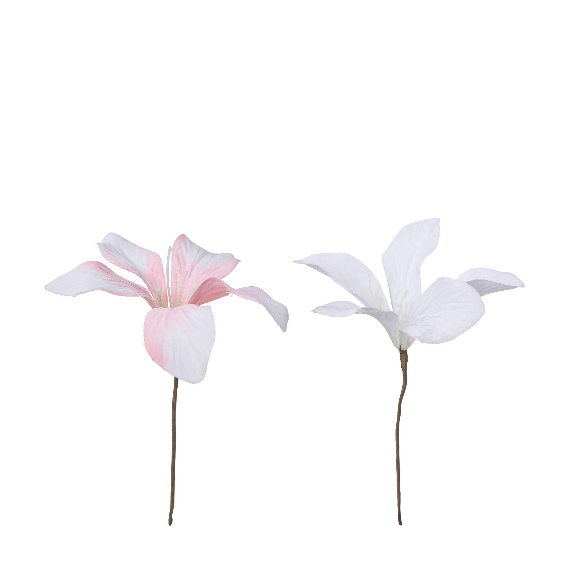 LILY Blomma Mix Vit, Rosa - Vit, Rosa - 12x12 cm