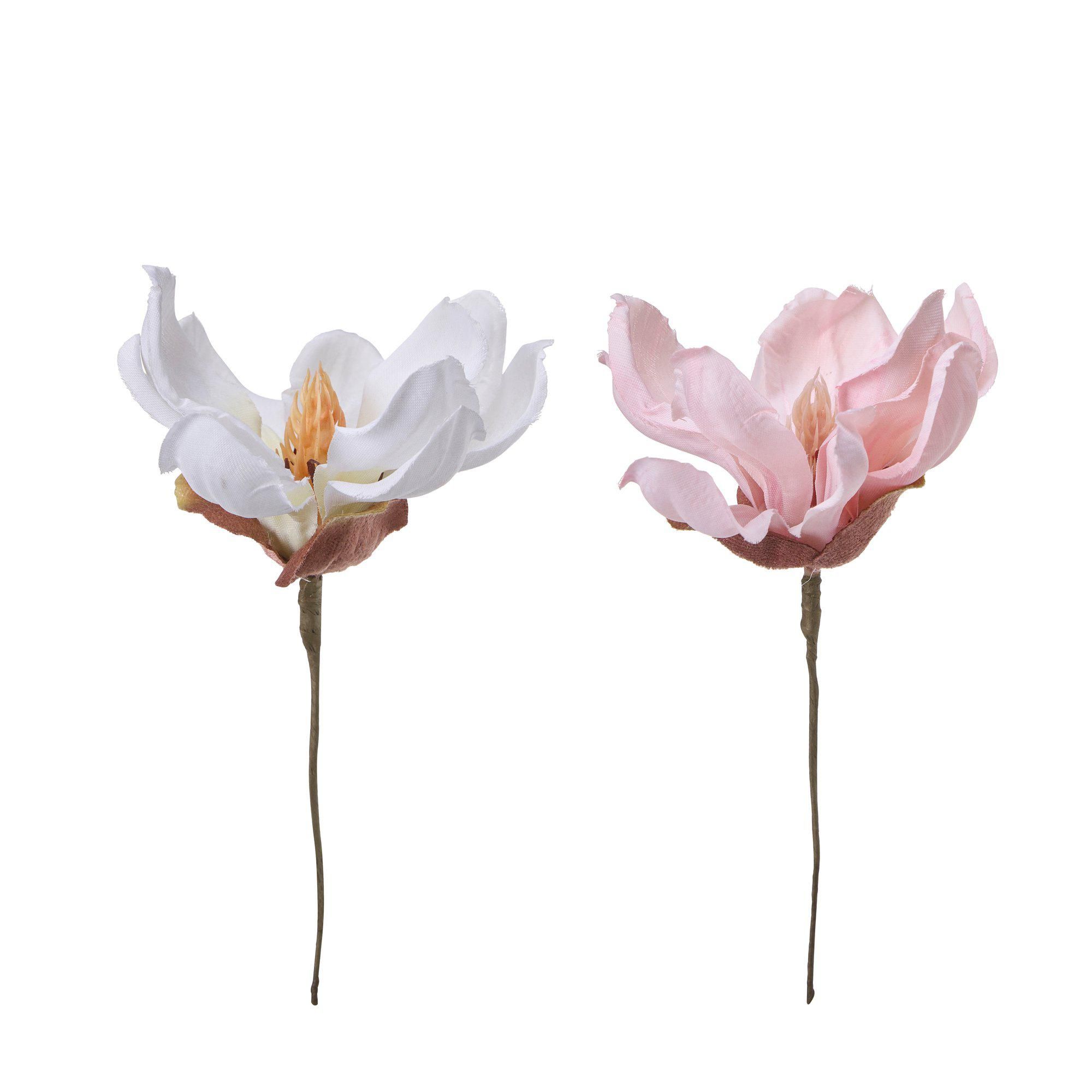 MAGNOLIA Flower Mix White, Pink - White, Pink - 10x10 cm