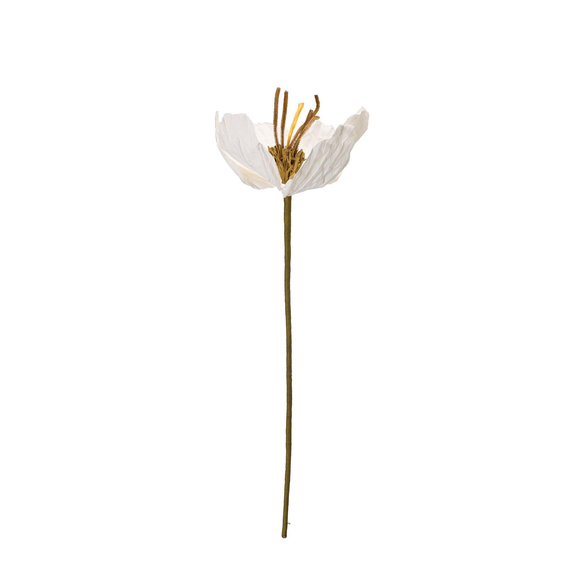 TULIP Flower White - White - 16x75cm