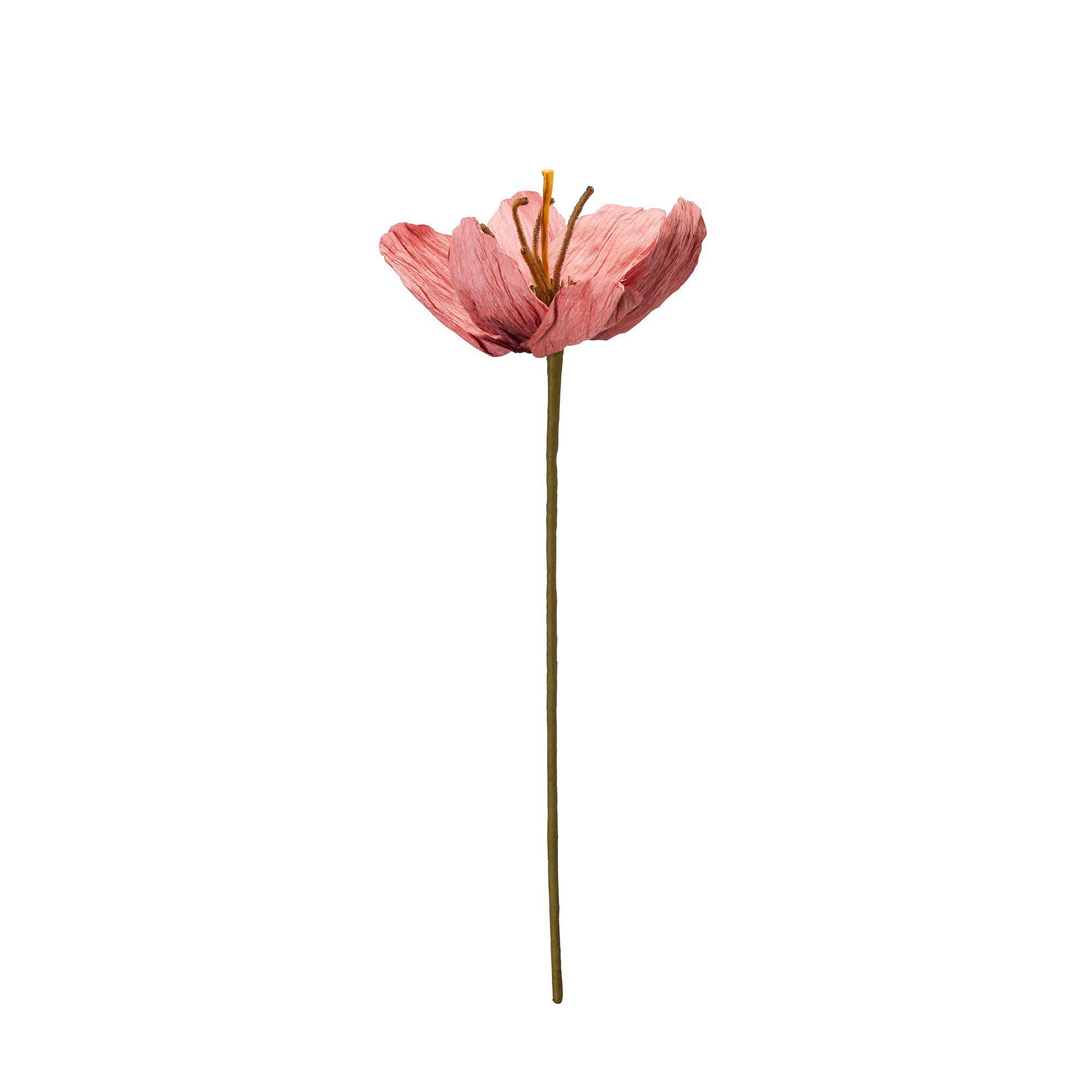 TULIP Flower Pink - Pink - 16x75cm