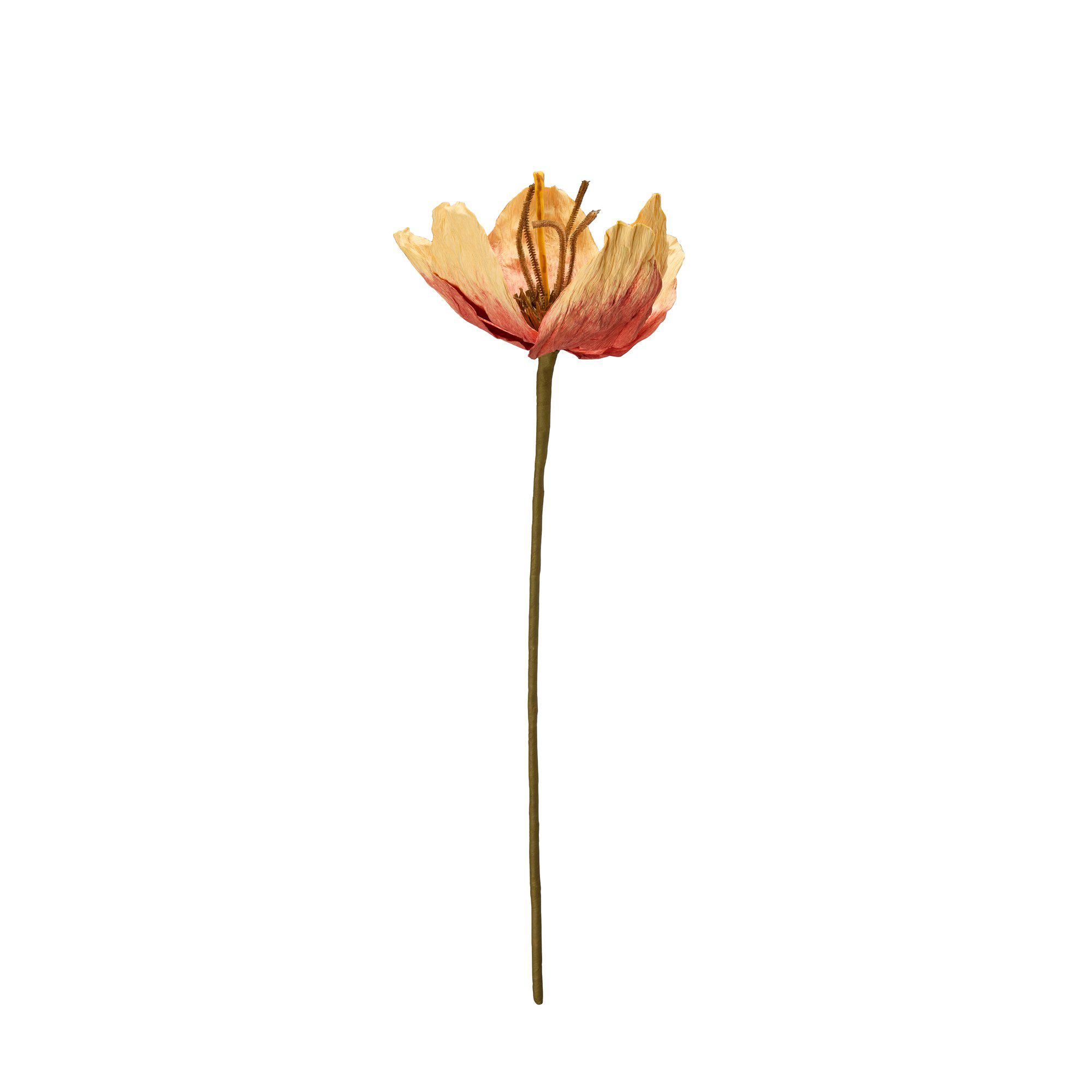 TULIP Flower Orange - Orange - 16x75cm