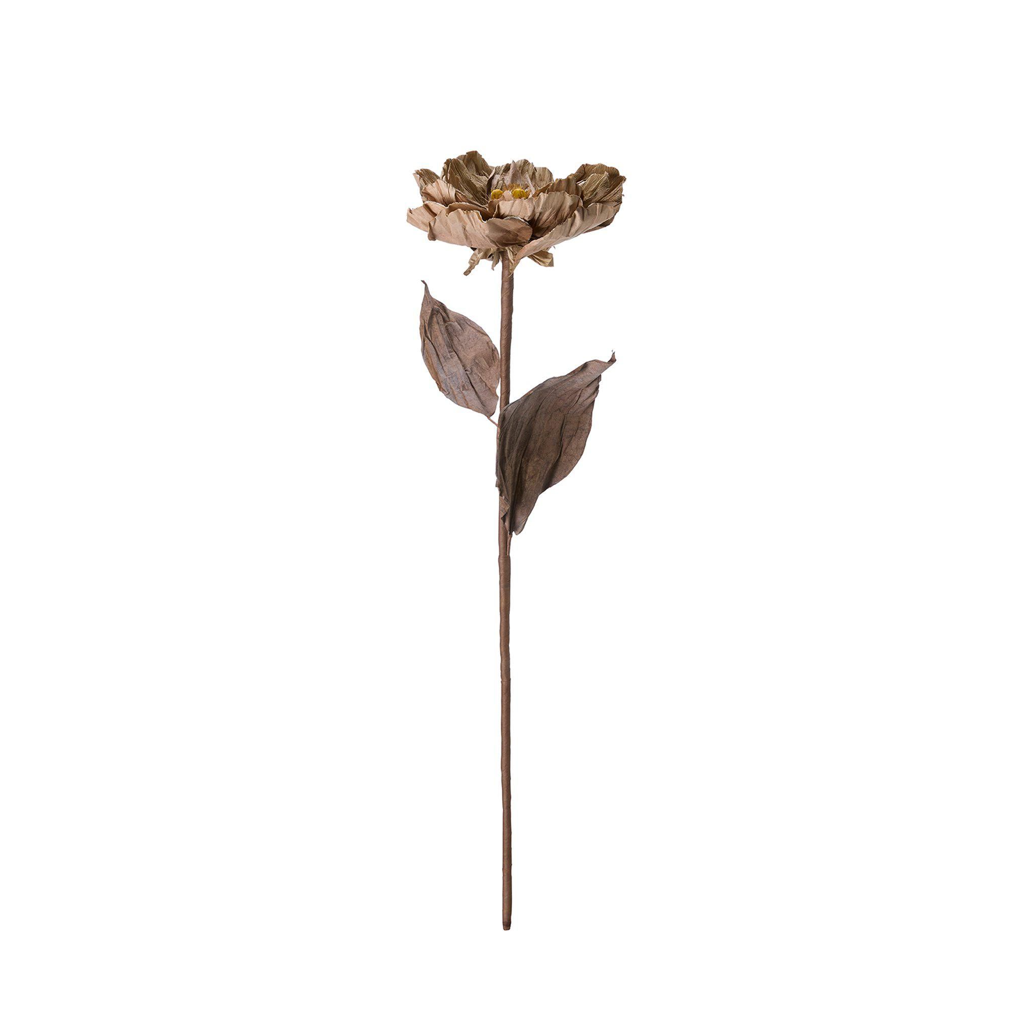 ROSE Flower Beige - Beige - 20x75cm