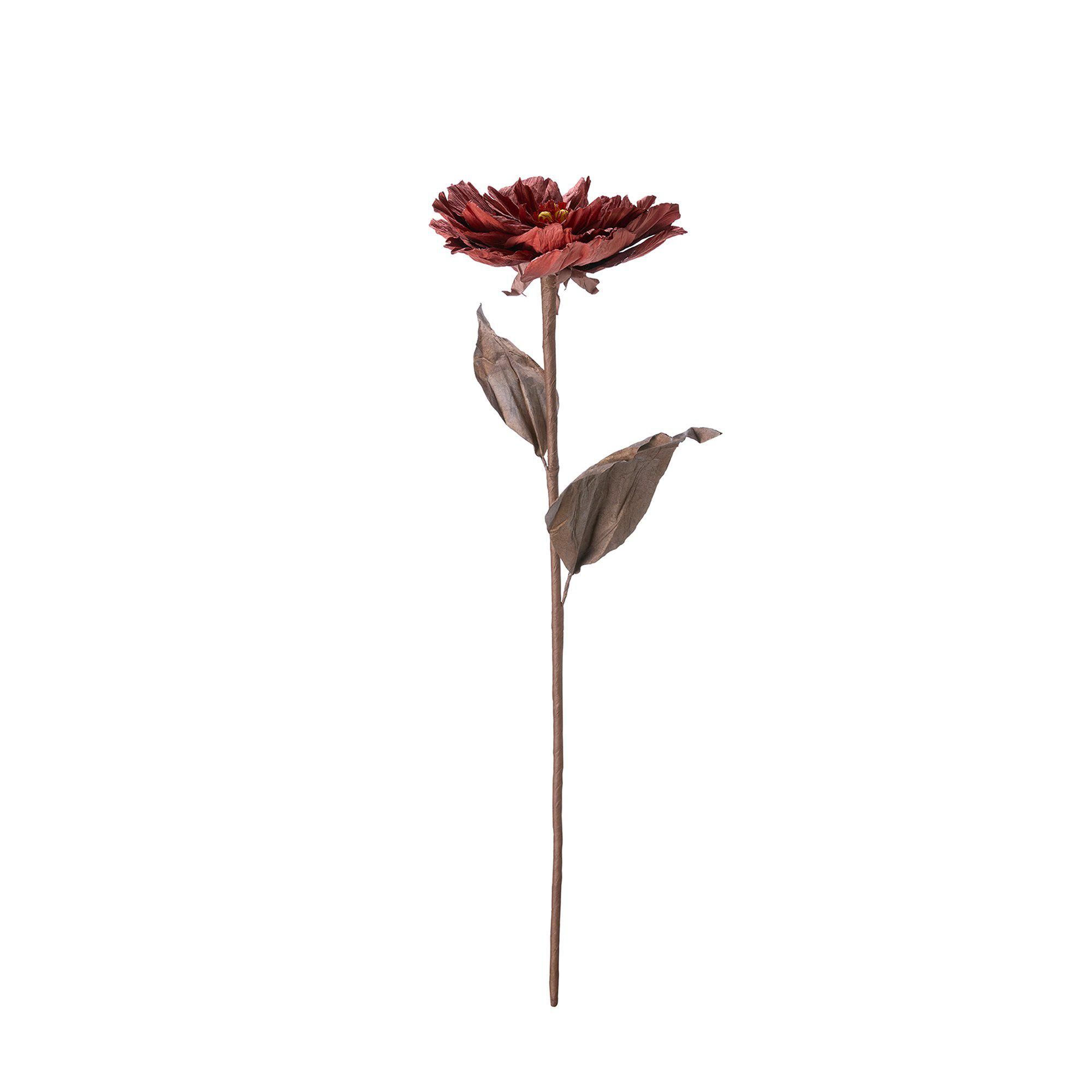 ROSE Flower Burgundy - Burgundy - 20x75cm