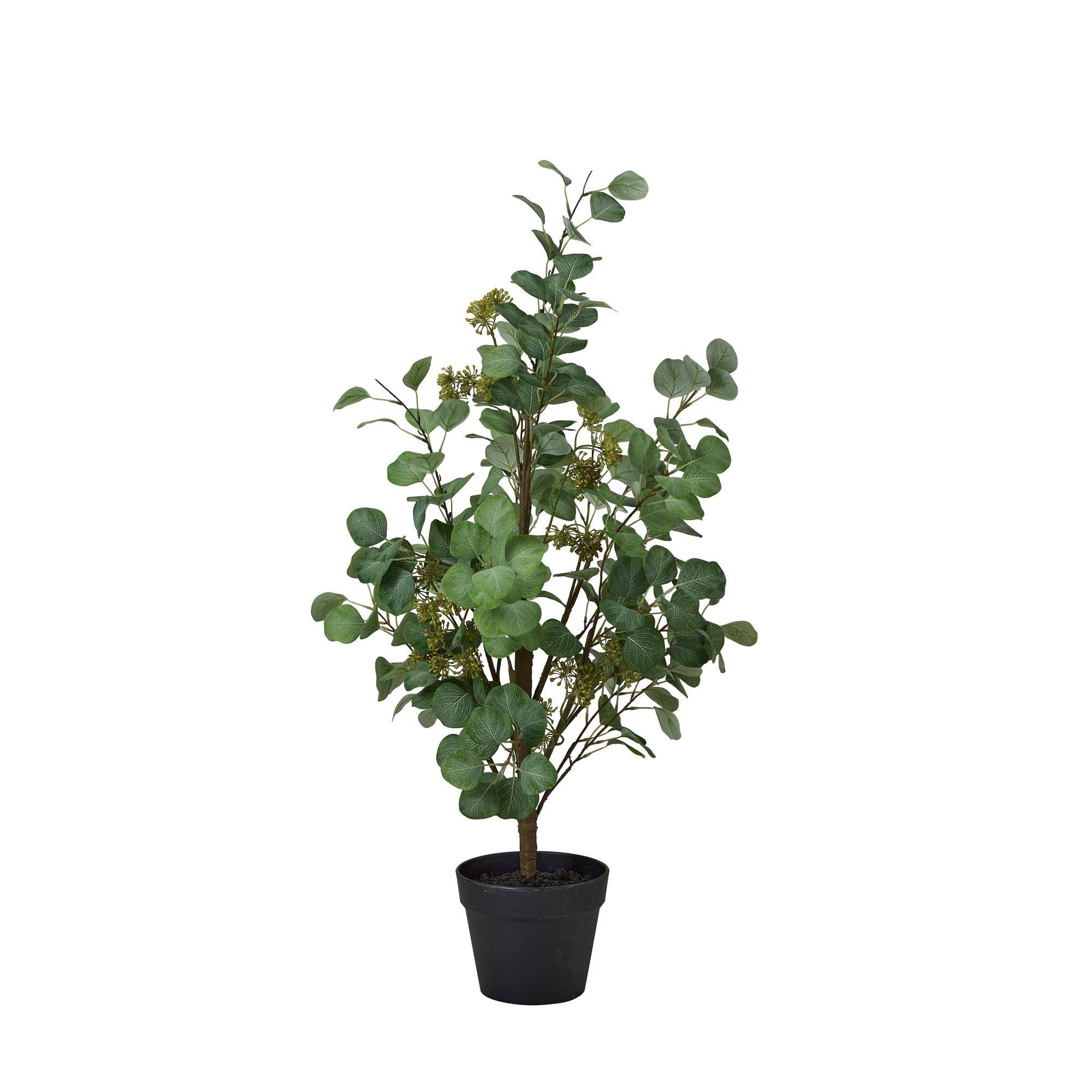 EUCALYPTUS Tree Green - Green - 30x96cm