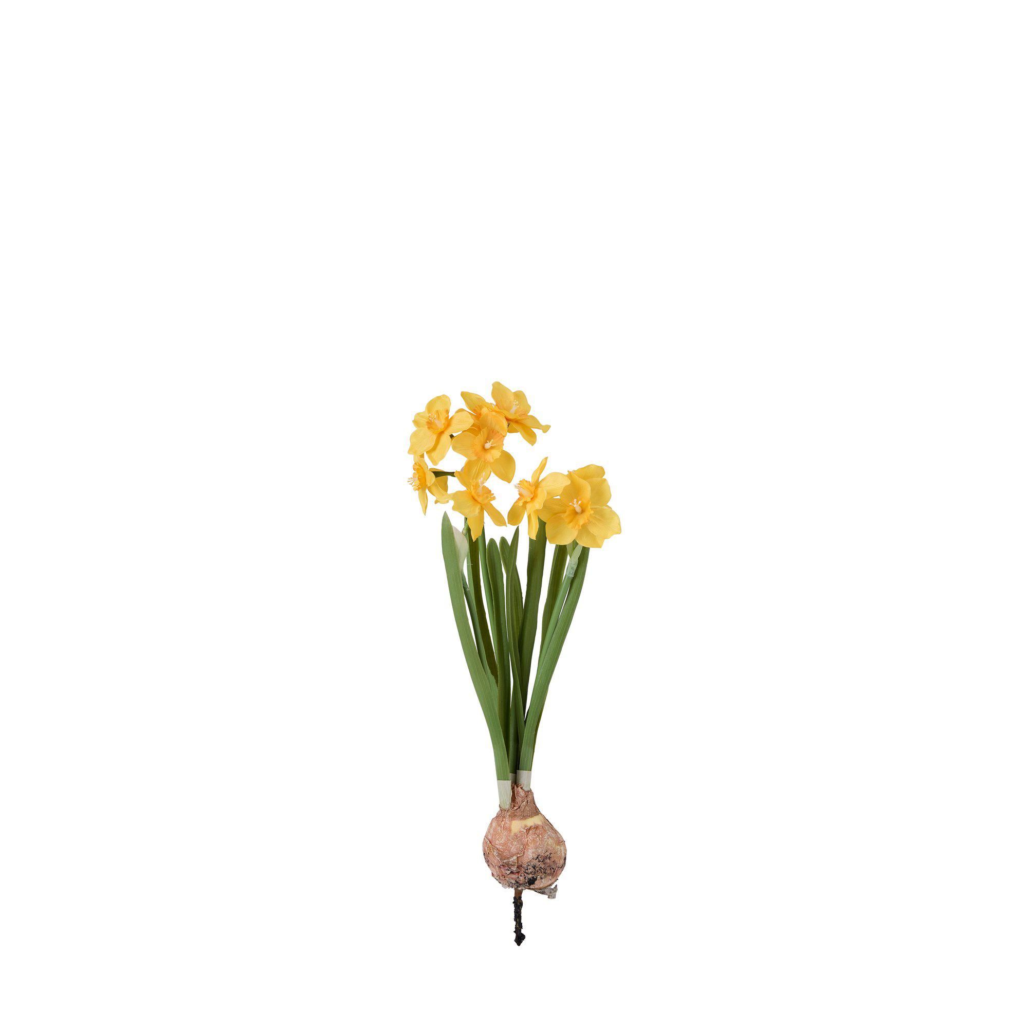 NARCISSUS Bulb Yellow - Yellow - 10x38+4cm