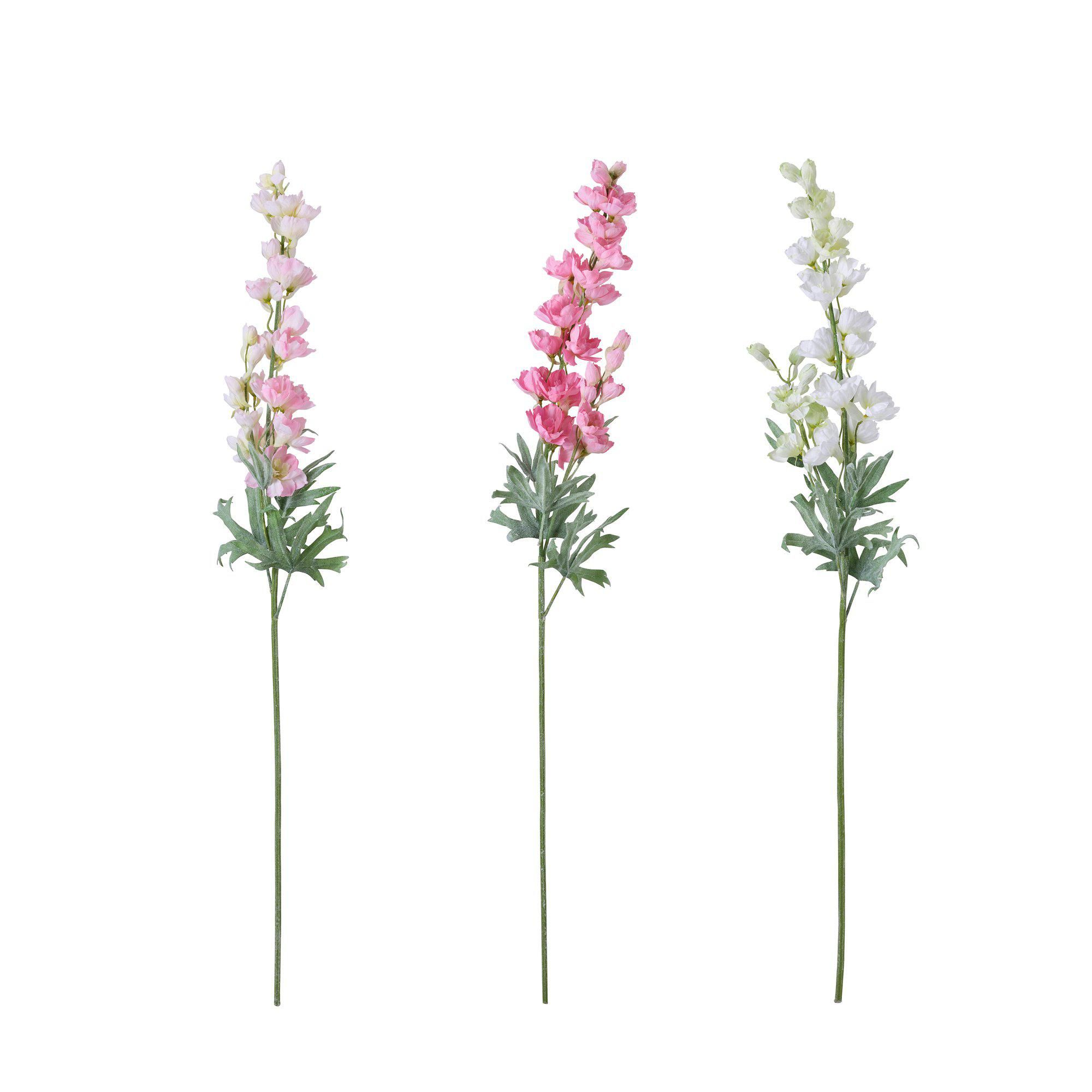 DELPHINIUM Mix White,Pink, Darkpink - White,Pink, Darkpink - 10x100cm