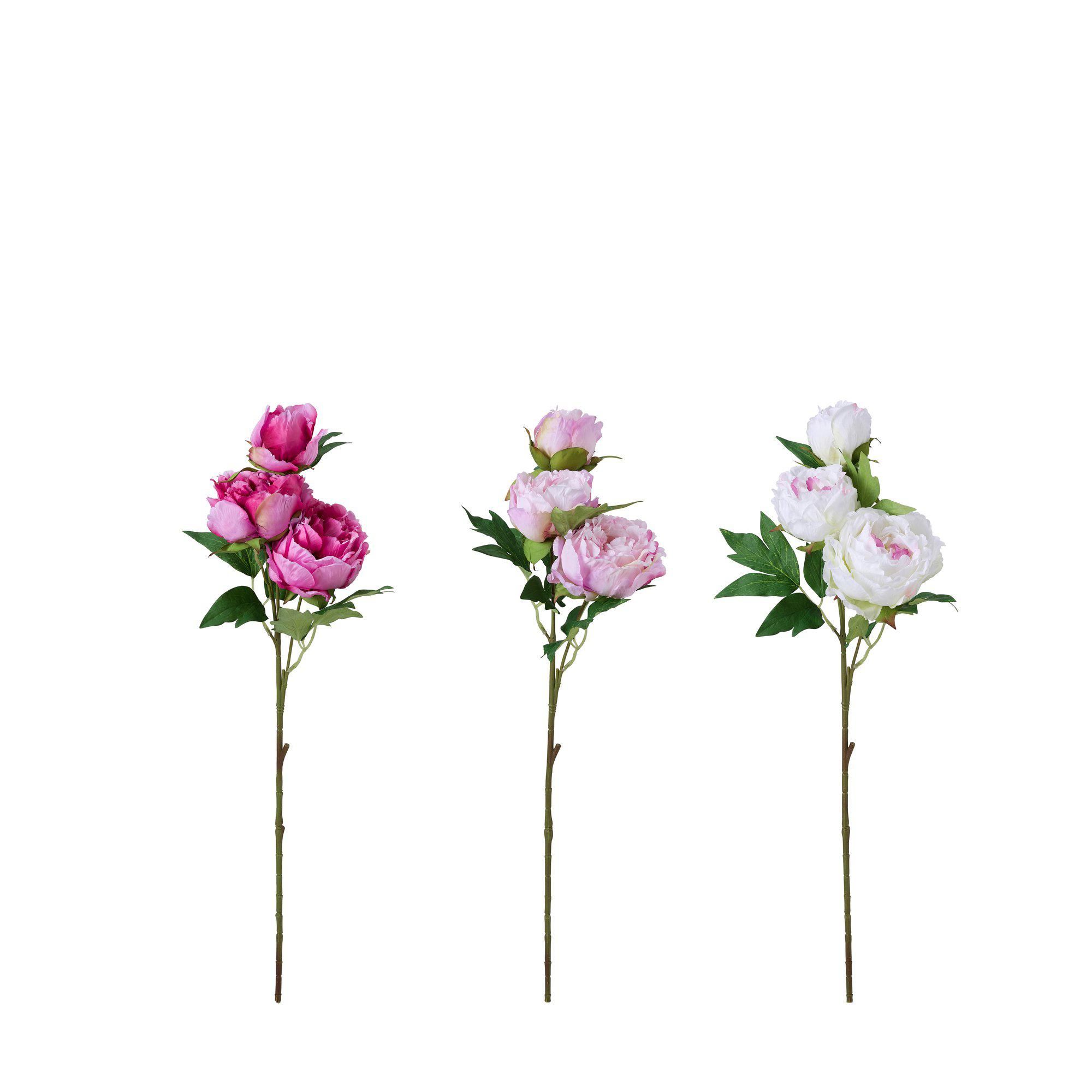 PAEONIA Mix Vit, Rosa, Mörkrosa - Vit, Rosa, Mörkrosa - 20x72cm