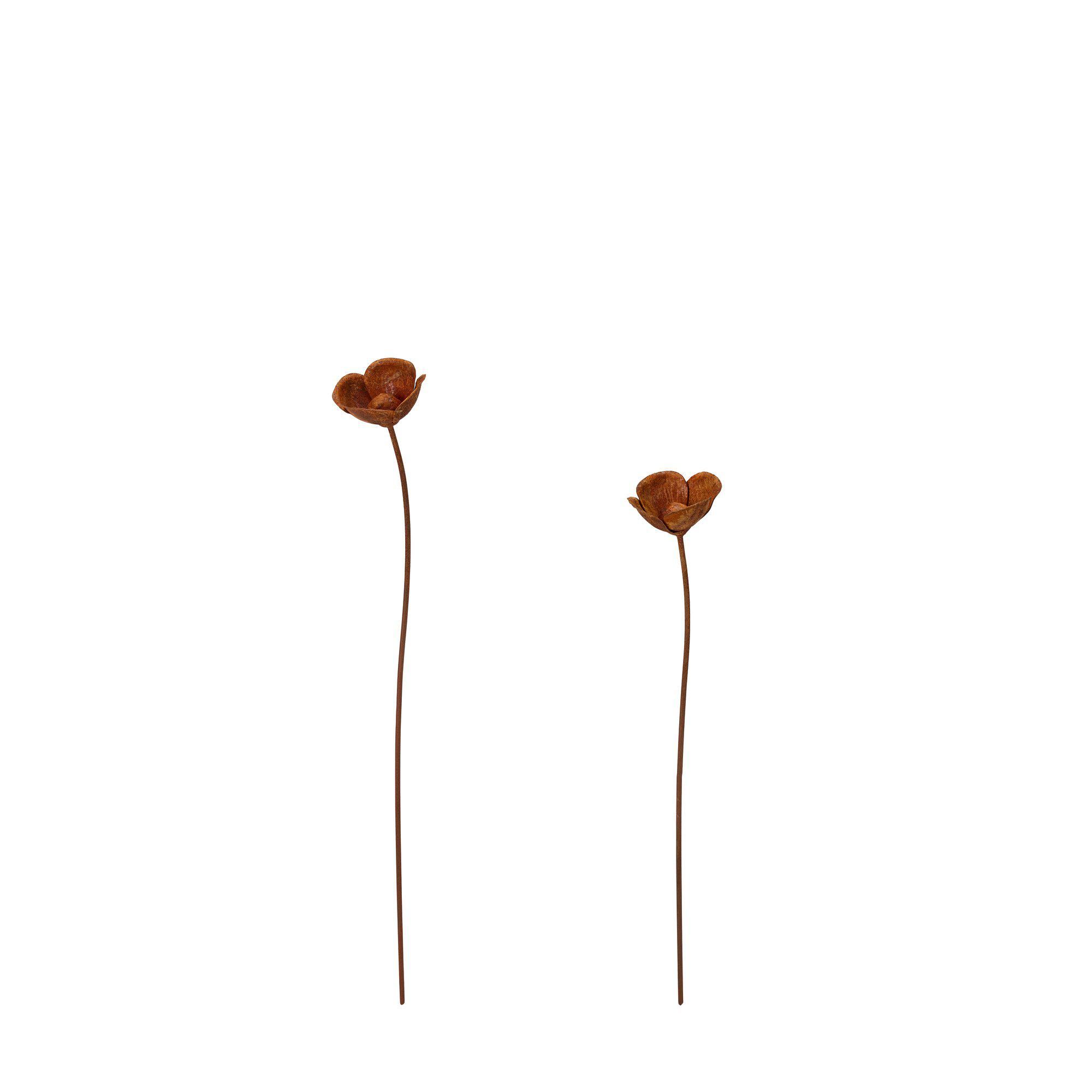 ANEMONE S/2 Rust - Rust - 6x50 6x40cm