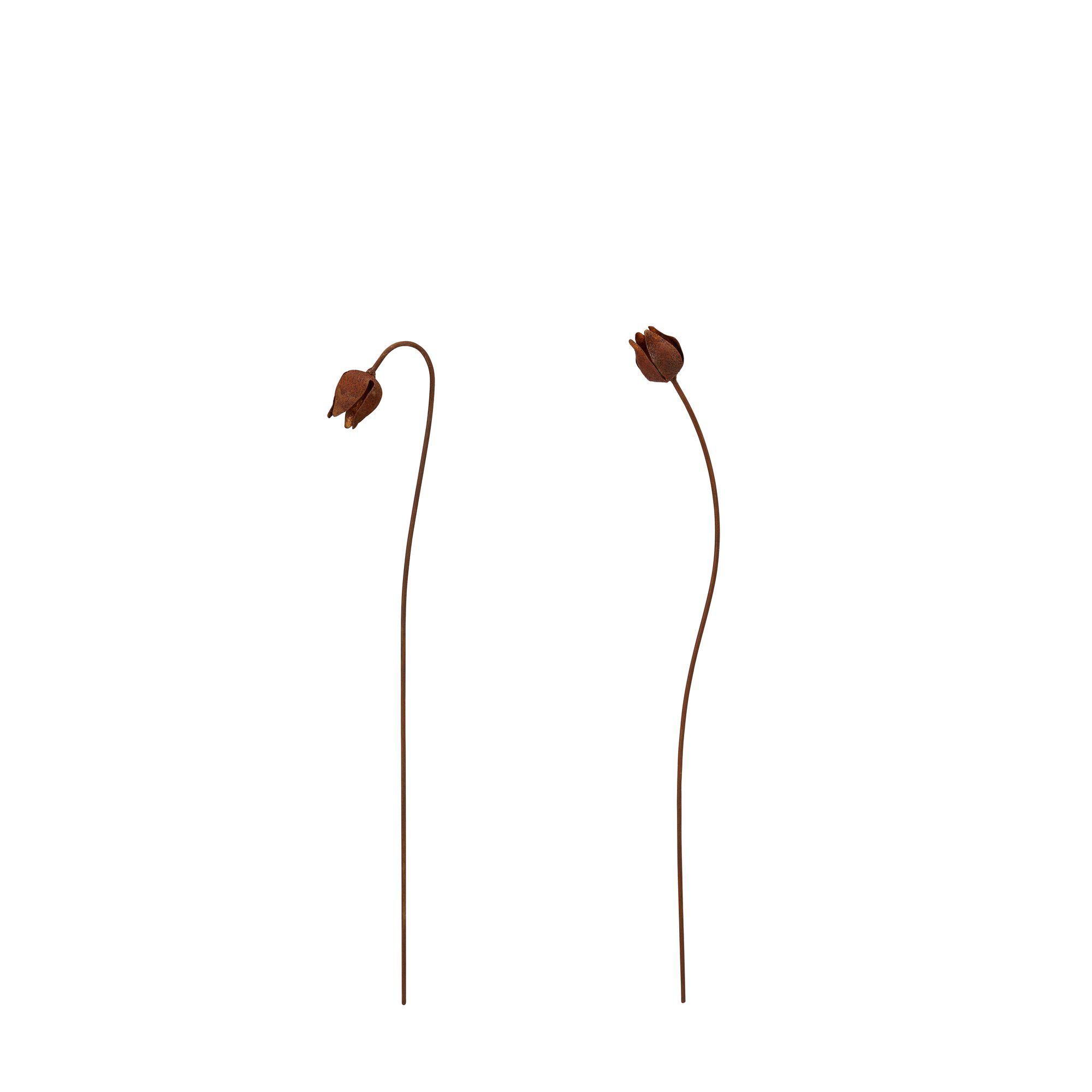 FRITILLARIA Mix Rust - Rust - 9x3x50 3x3x50cm