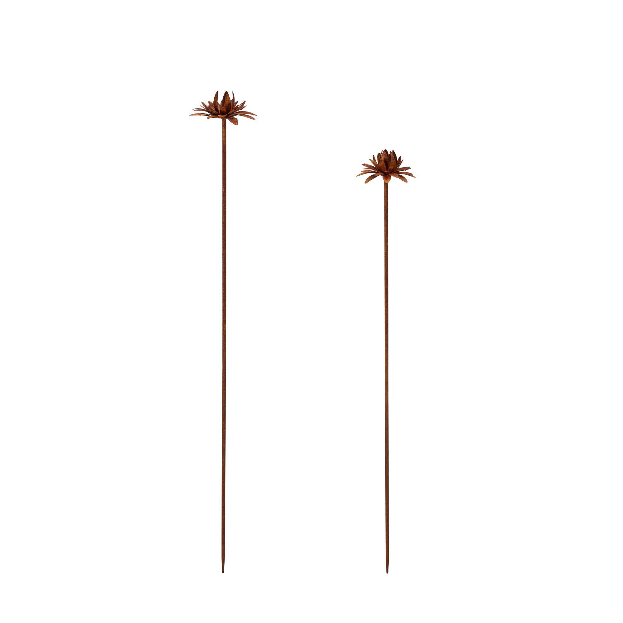 DAHLIA S/2 Rust - Rust - 12x90 10x80cm