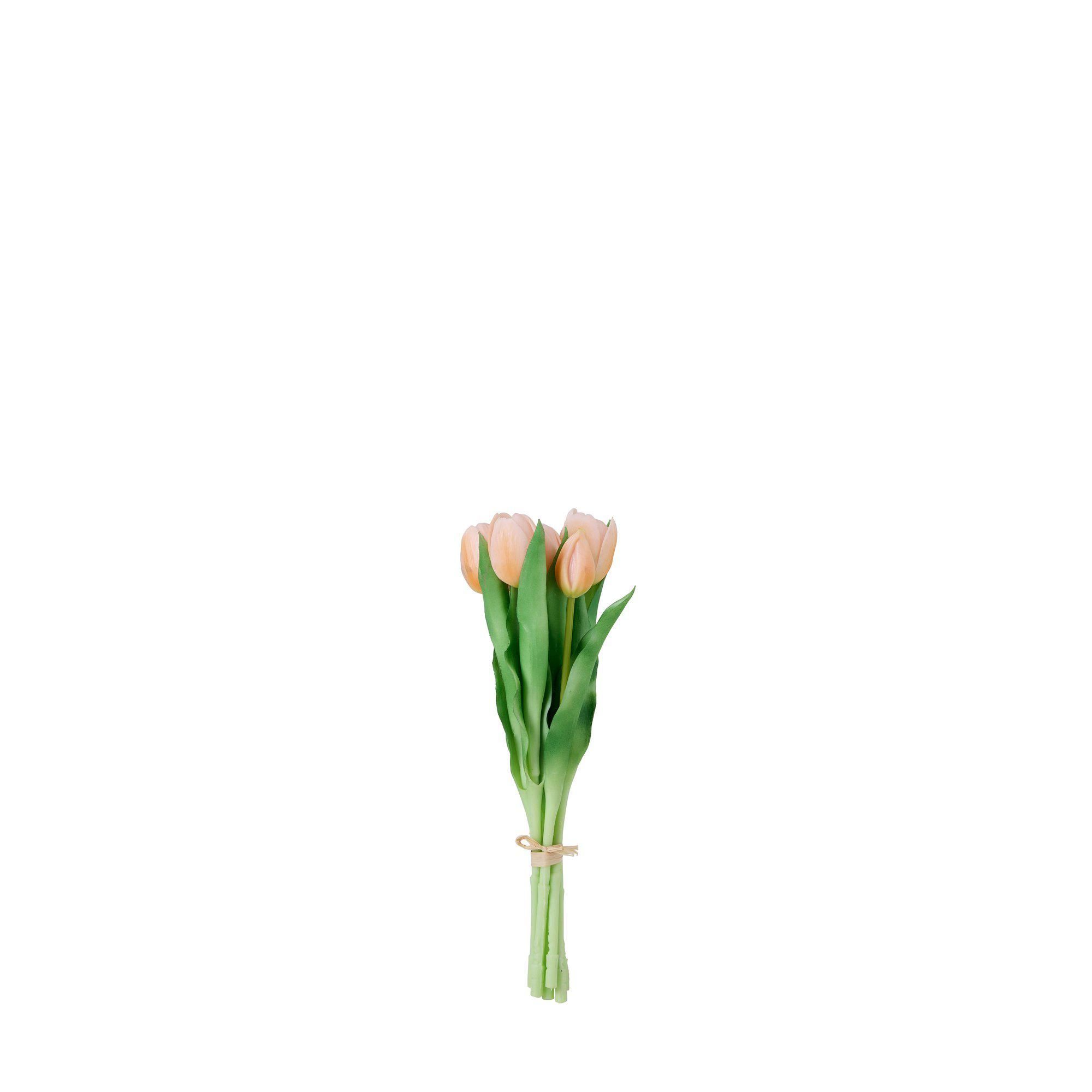 TULIPS Bundle Peach - Peach - 31cm
