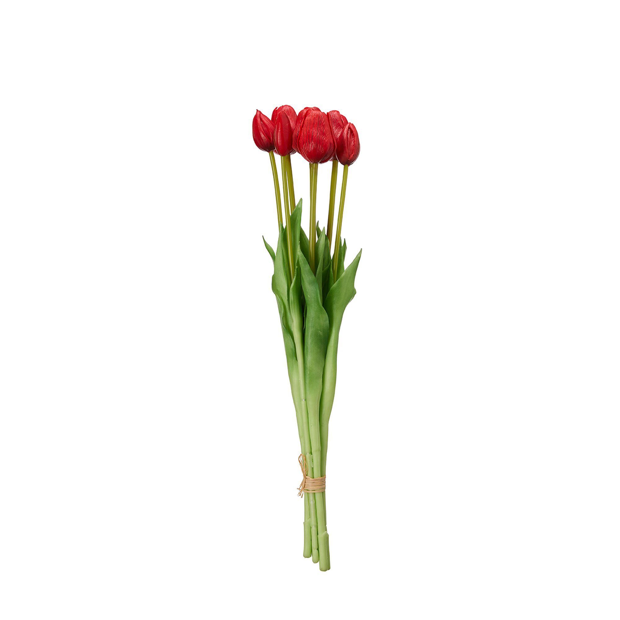 TULIPS Bundle Red - Red - 47cm