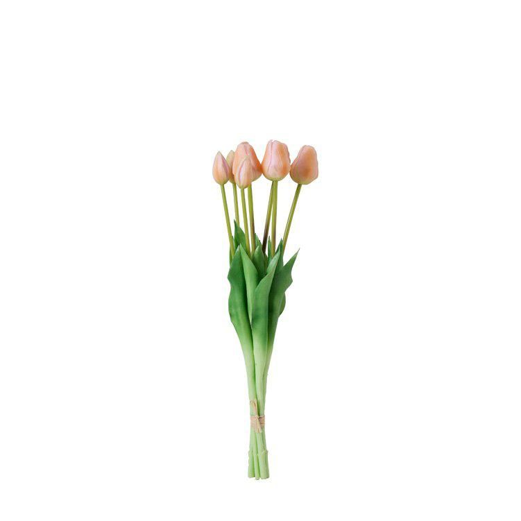 TULIPS Bundle Peach - Peach - 47cm