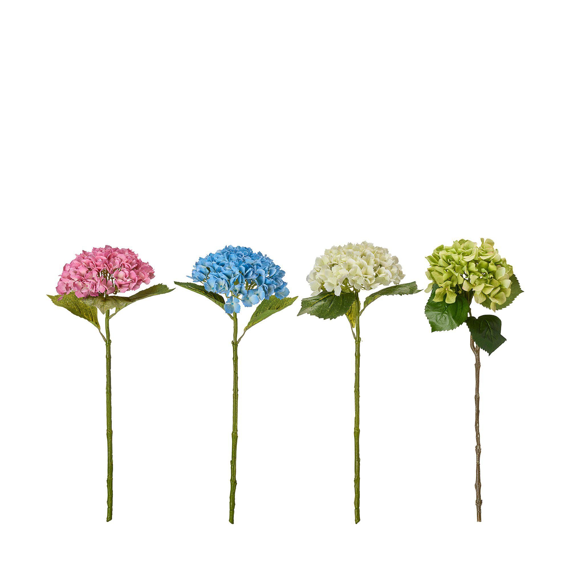 HORTENSIA Mix Rosa, Blå, Vit, Grön - Rosa, Blå, Vit, Grön - 60cm