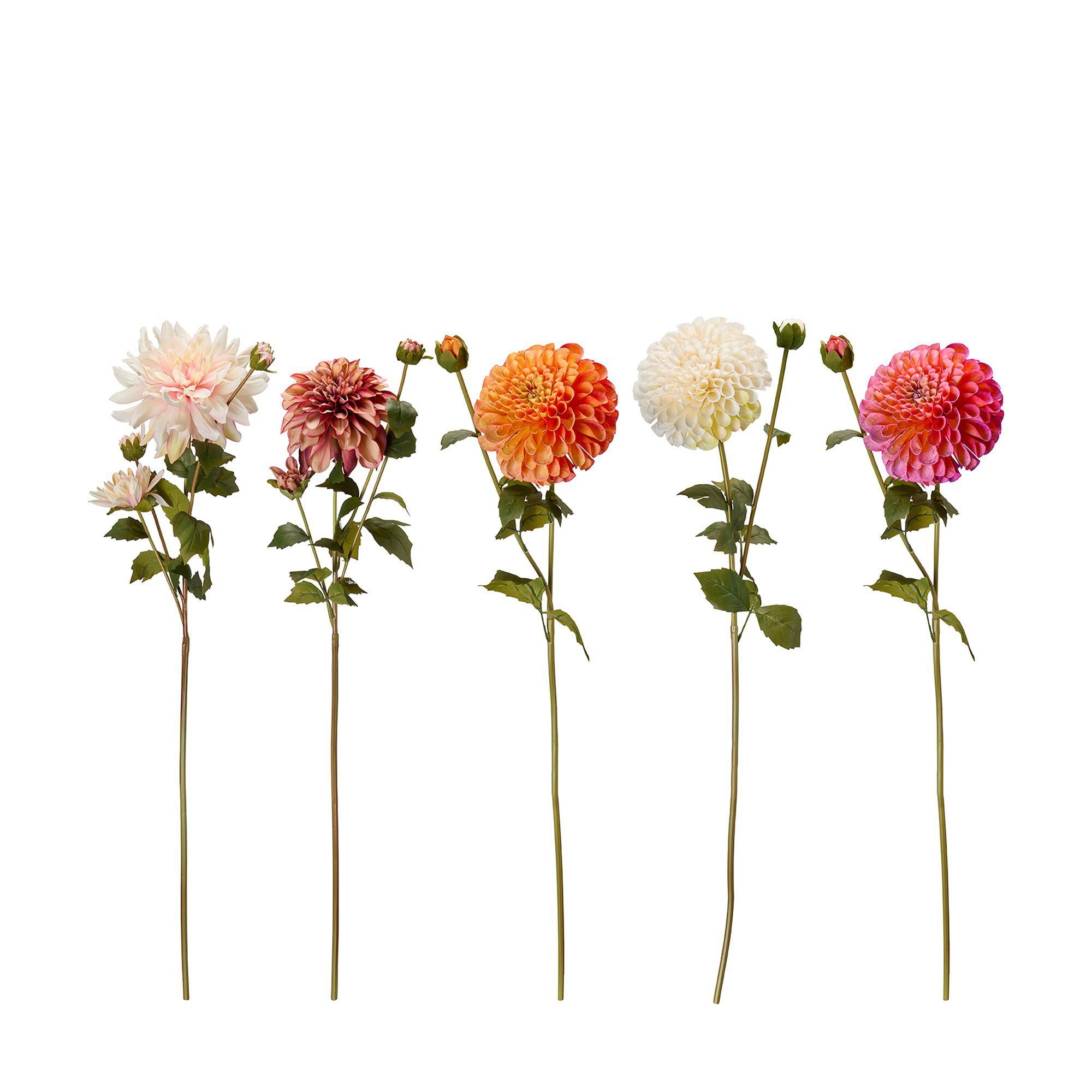 DAHLIA Mix Vit/Rosa/Aprikos/Orange - Vit/Rosa/Aprikos/Orange - 75cm