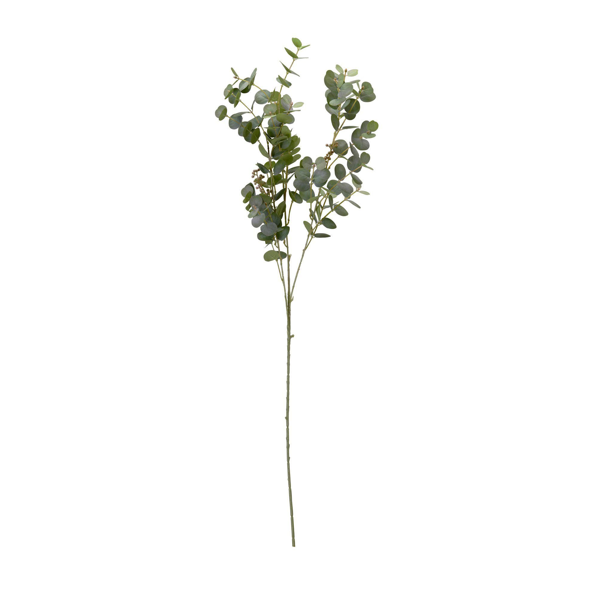 EUCALYPTUS Grön - Grön - 103cm