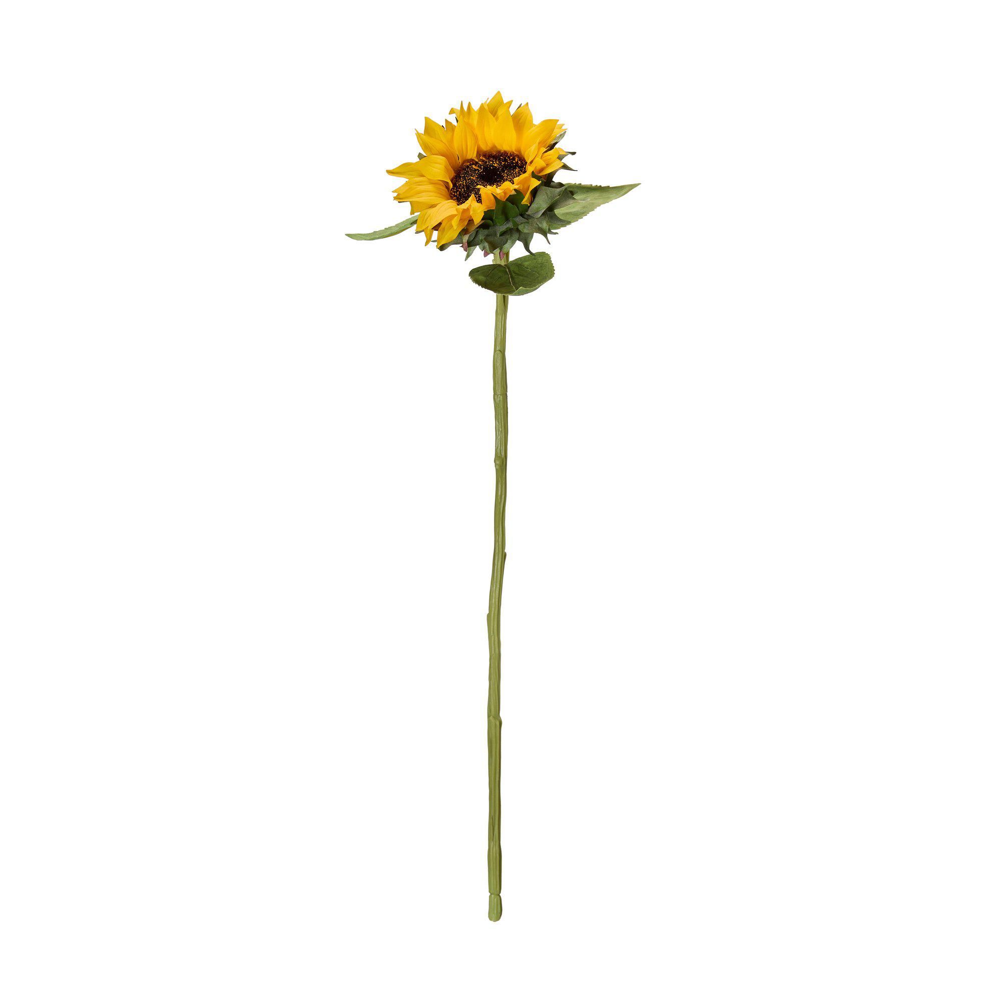 SOLROS Gul - Gul - 70cm