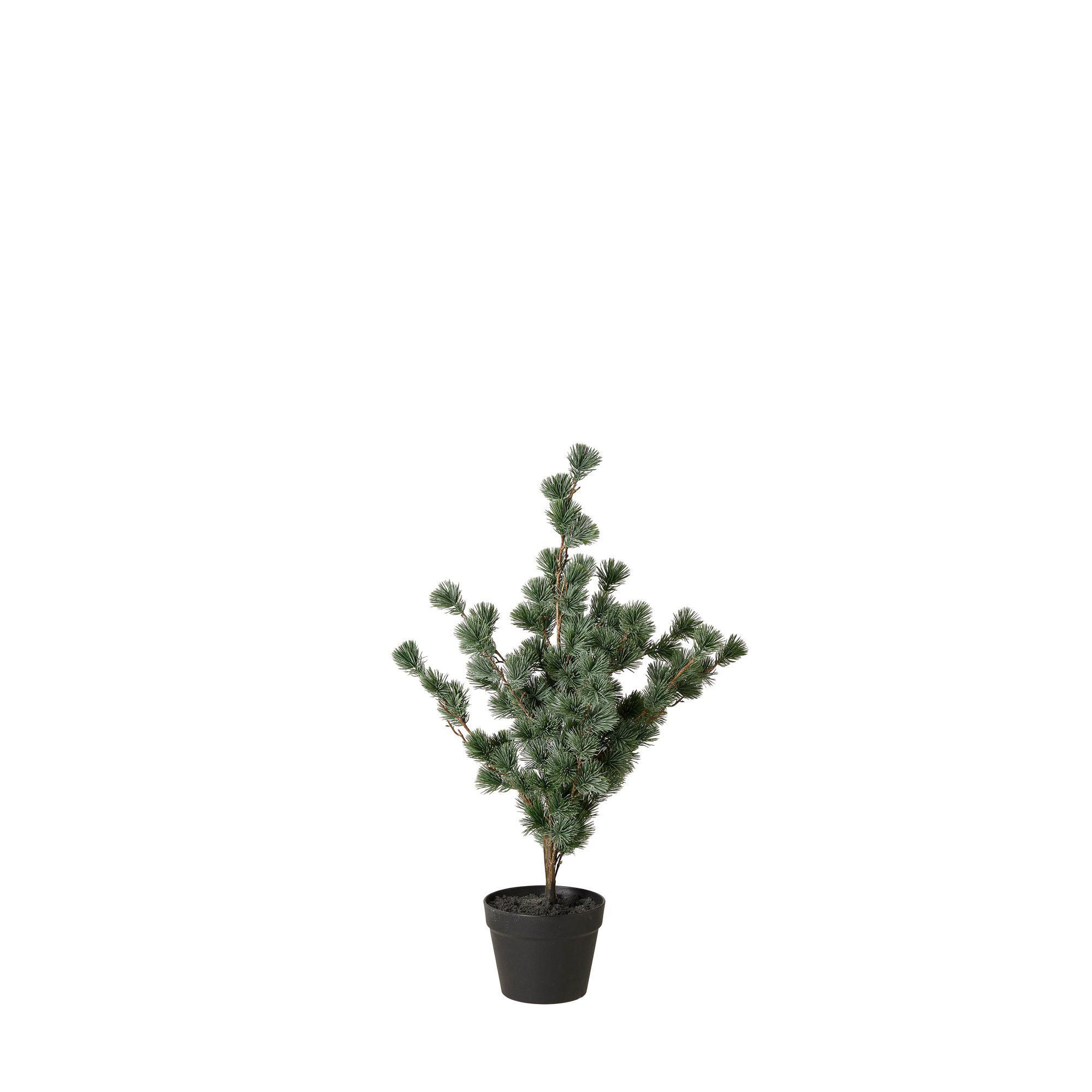 LARCH TREE Green - Green - 80cm