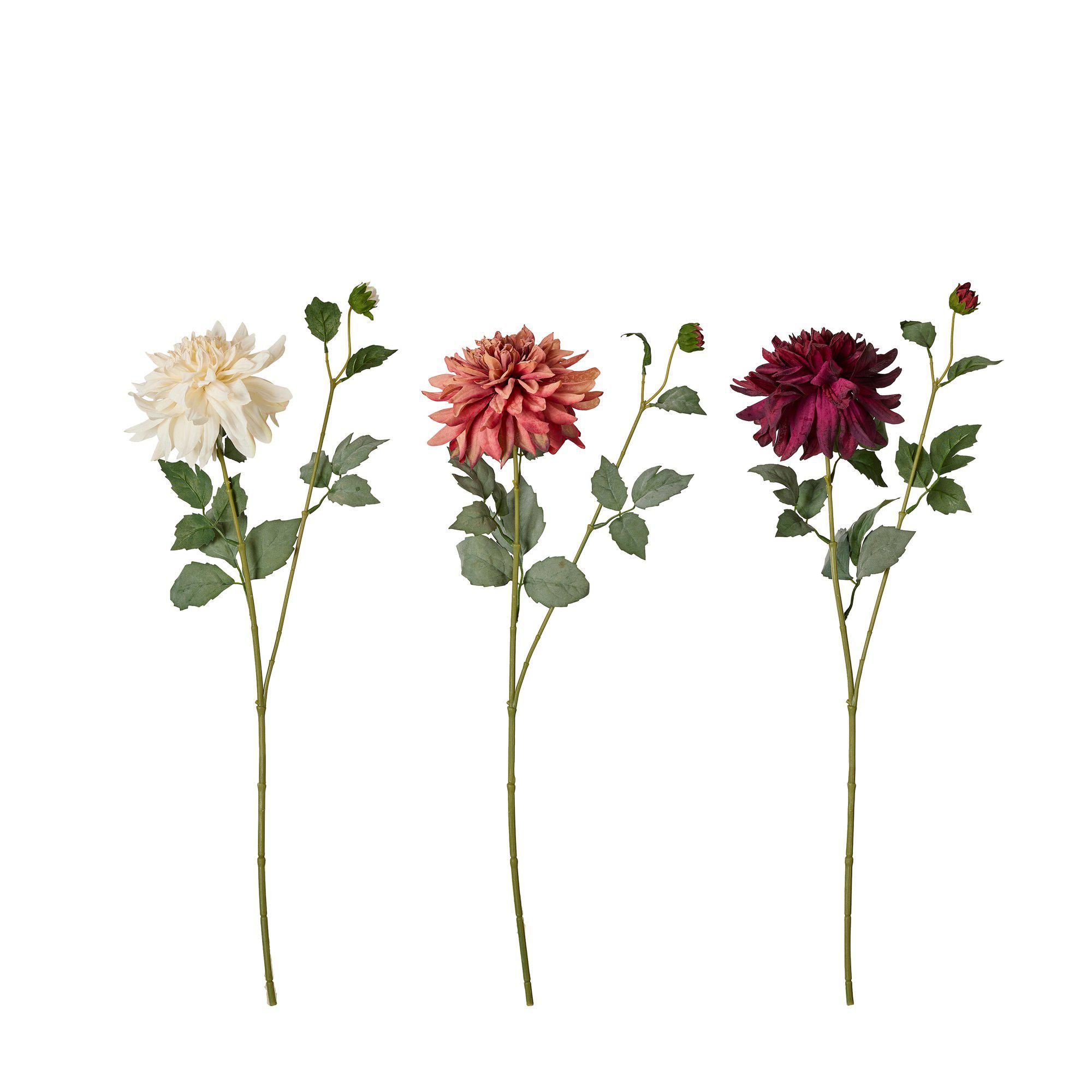 DAHLIA Mix White, Pink, Red - White, Pink, Red - 60cm