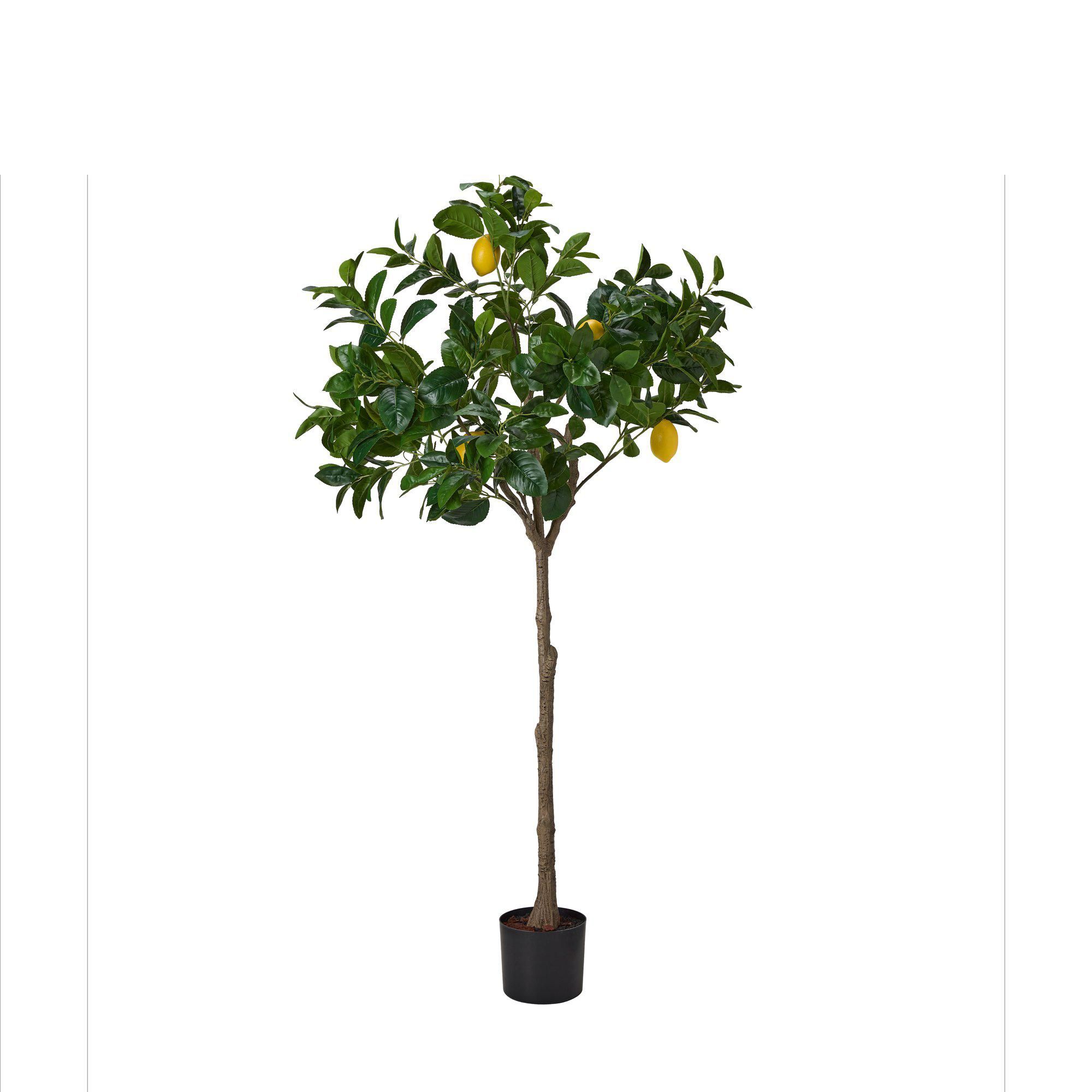LEMON TREE Green/Yellow - Green/Yellow - 165cm