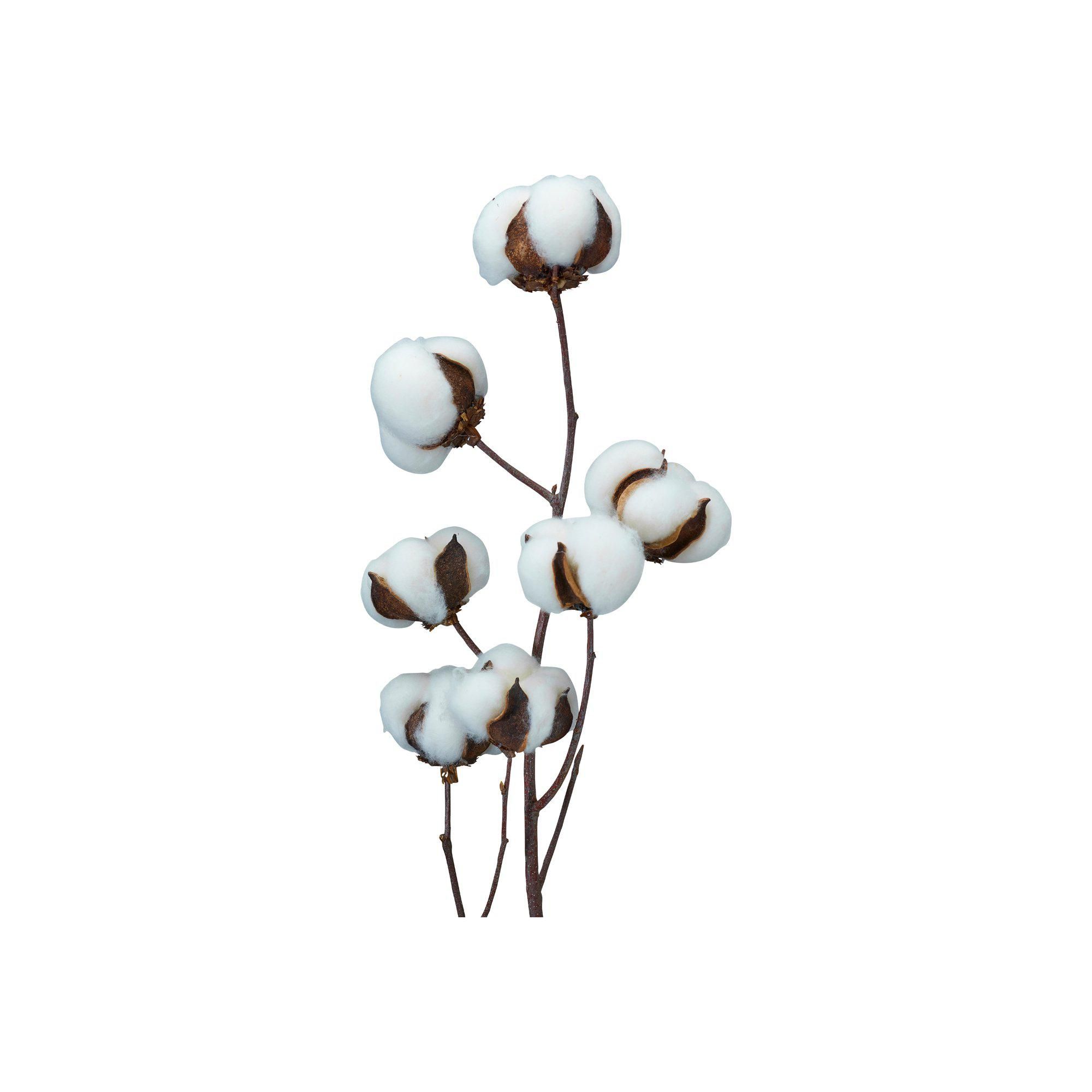 BOMULLSKVIST Natur - Natur - 80cm
